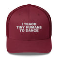 I Teach Tiny Humans To Dance - Trucker Cap