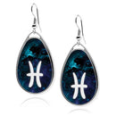 Zodiac Sign Symbols Teardrop earrings