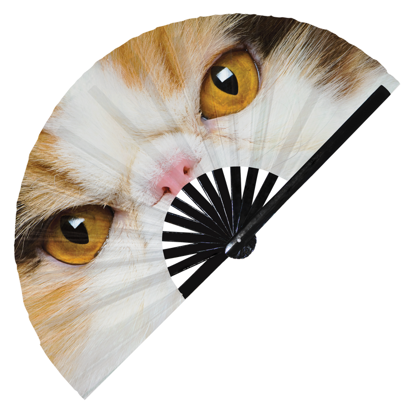 Cat Eyes Hand Fan Cute Cat Close Up Folding Hand Fan UV Glow Munchkin Folding Fans Funny Cat Feline Lovers Gifts Cat Owners Accessories
