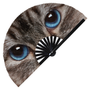 cat eyes large hand fan persian cat maine coon british shorthair ragdoll scottish fold siamese cat merchandise cat gifts cat owner gifts cat lovers kitty kitten