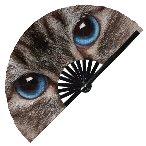 cat eyes large hand fan persian cat maine coon british shorthair ragdoll scottish fold siamese cat merchandise cat gifts cat owner gifts cat lovers kitty kitten